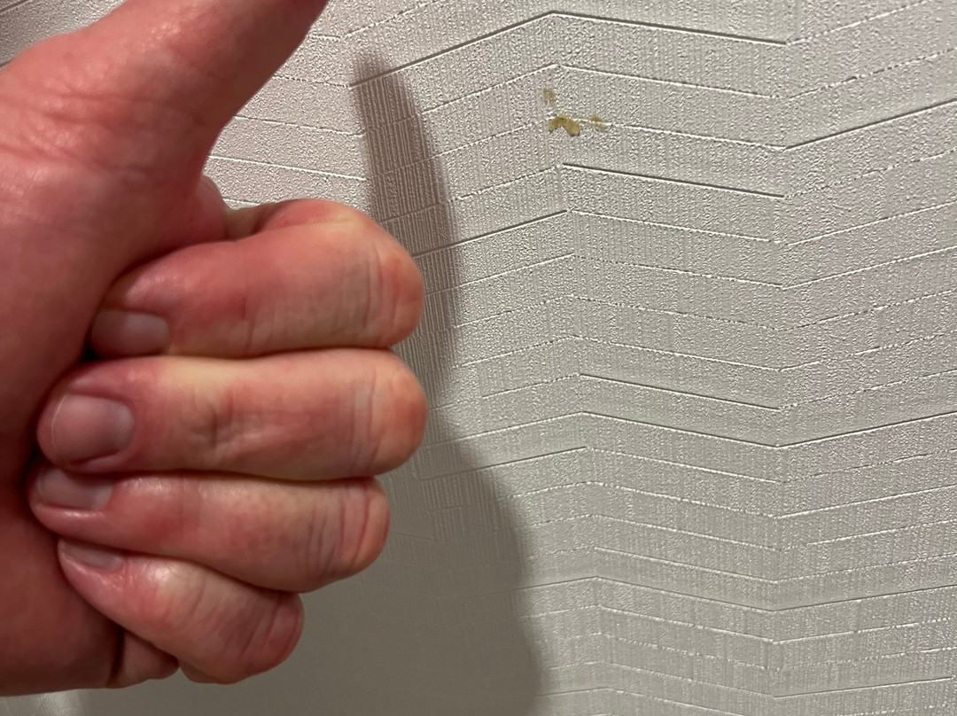 Hampton Inn & Suites Jacksonville/orange Park主图