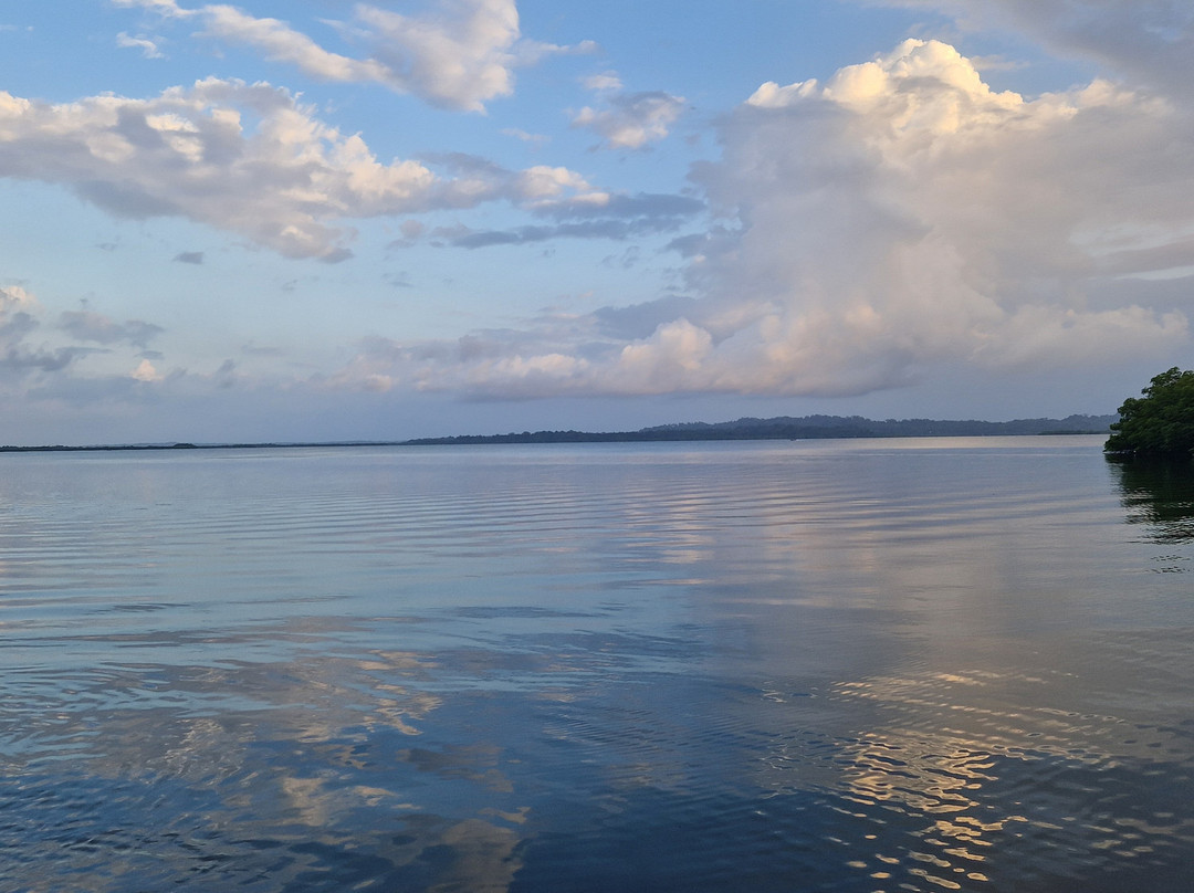 Dolphin Bay Hideaway主图