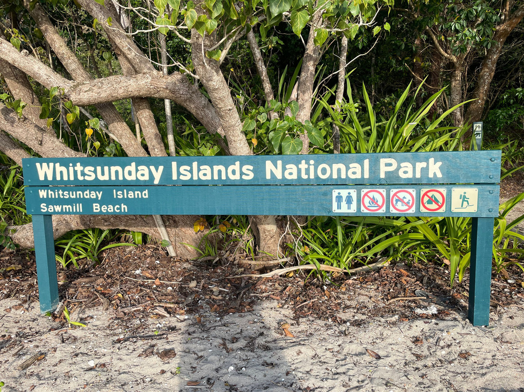 Sawmill Beach-圣灵群岛必去景点