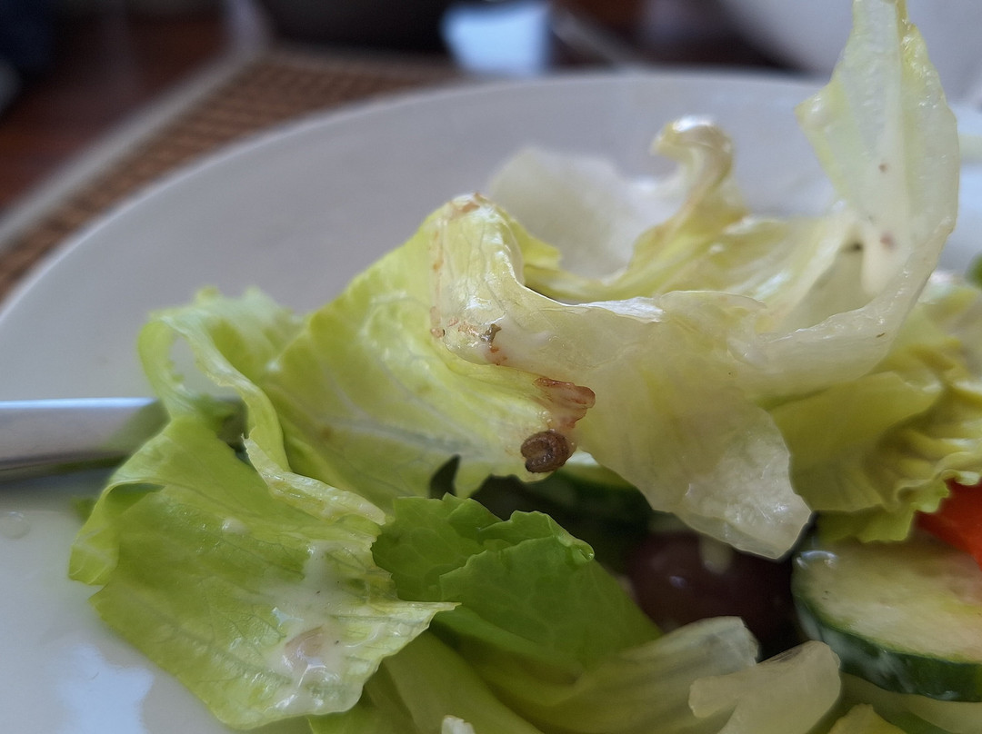 African Hills Safari Lodge & Spa Restaurant