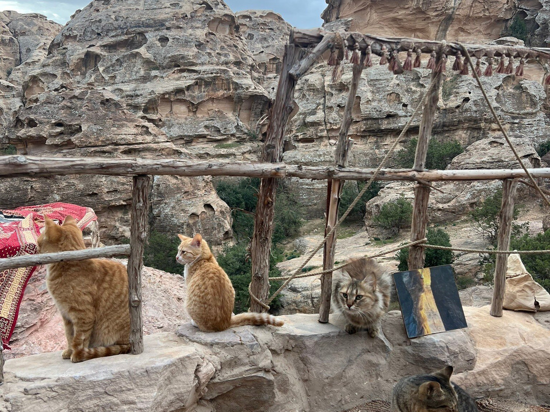 Al Amir Transportation Services-安曼必去景点