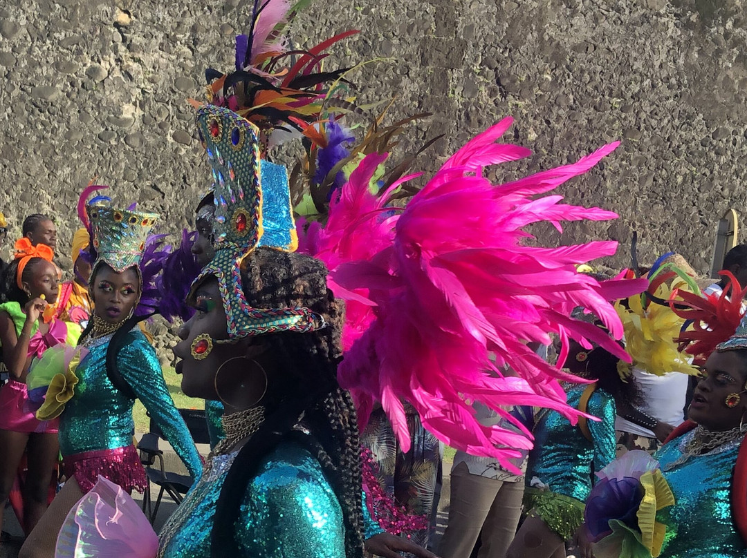 Carnaval de Fort-de-France景点图片