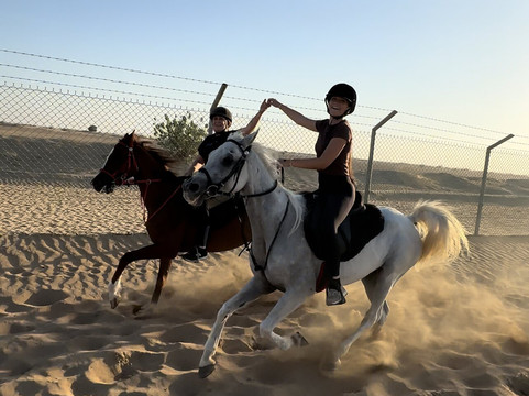 Dubai Desert Horse Ride Experience-迪拜必去景点
