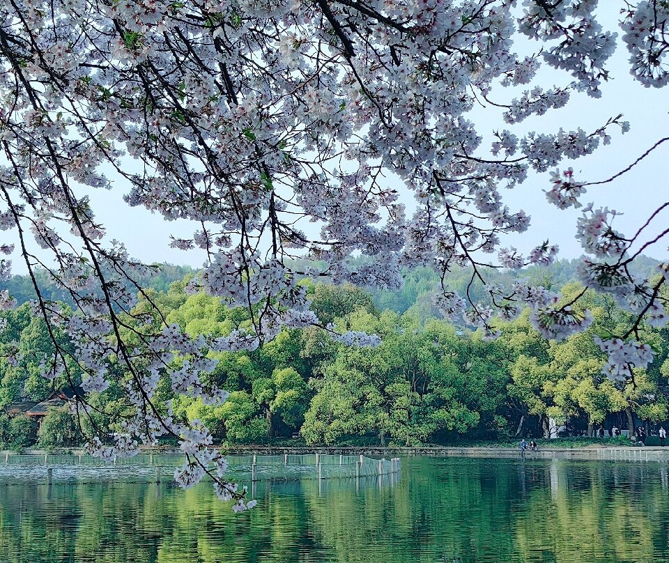 杨公堤-杭州市必去景点