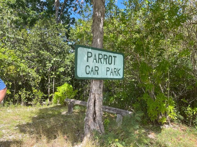 Parrot Preserve-Cayman Brac必去景点