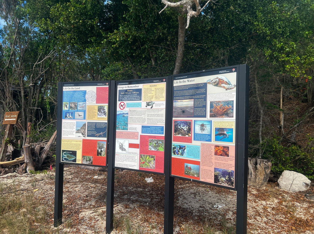 Buck Island Cove-圣克鲁斯必去景点