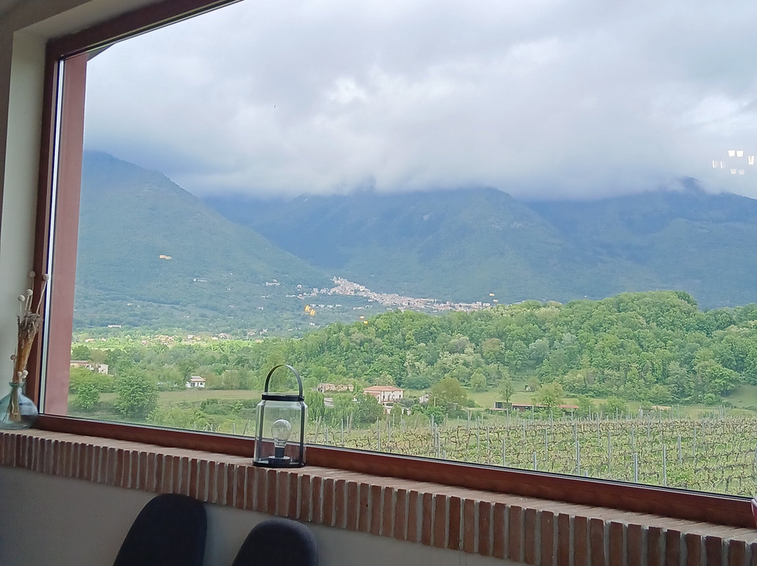Tenuta Petra Potens景点图片