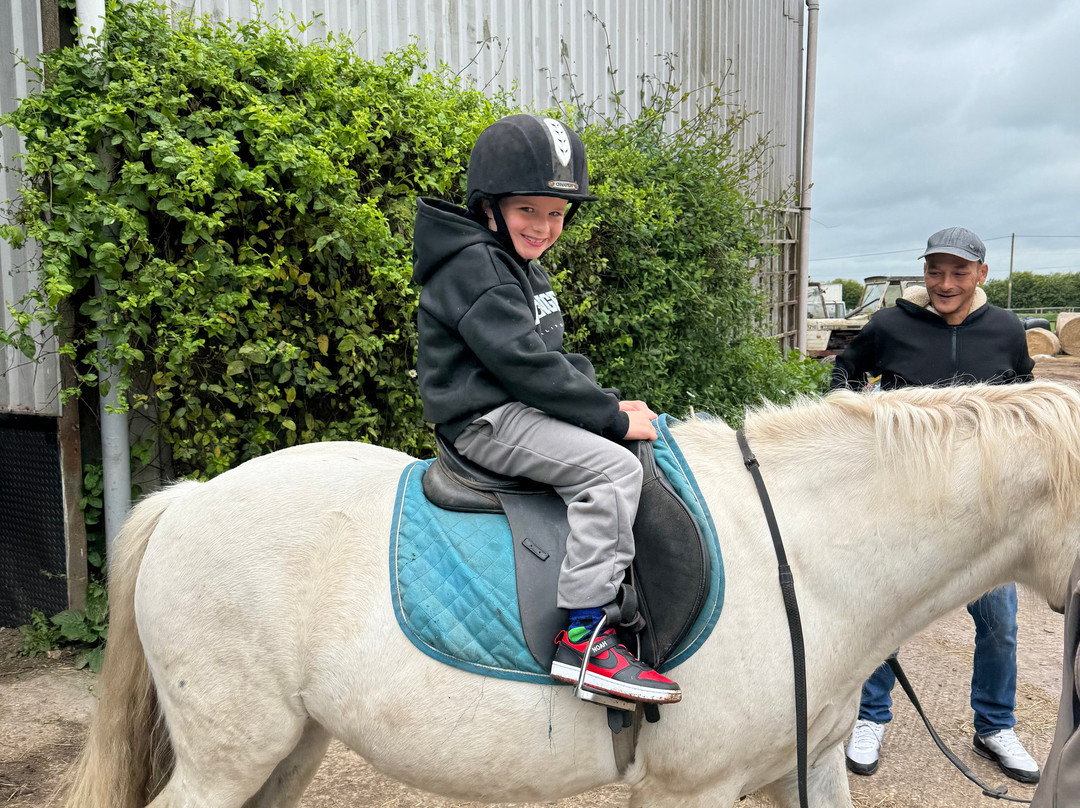 Orchard Farm Equestrian景点图片