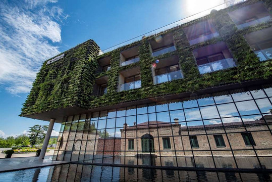 Tsinandali Estate, A Radisson Collection Hotel主图