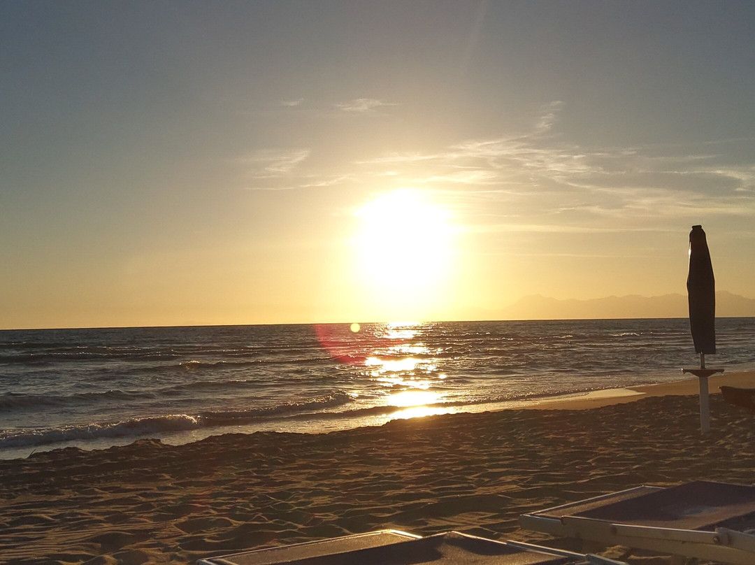 Cerullo's Paestum主图