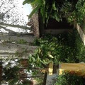 manchesterianBangkok