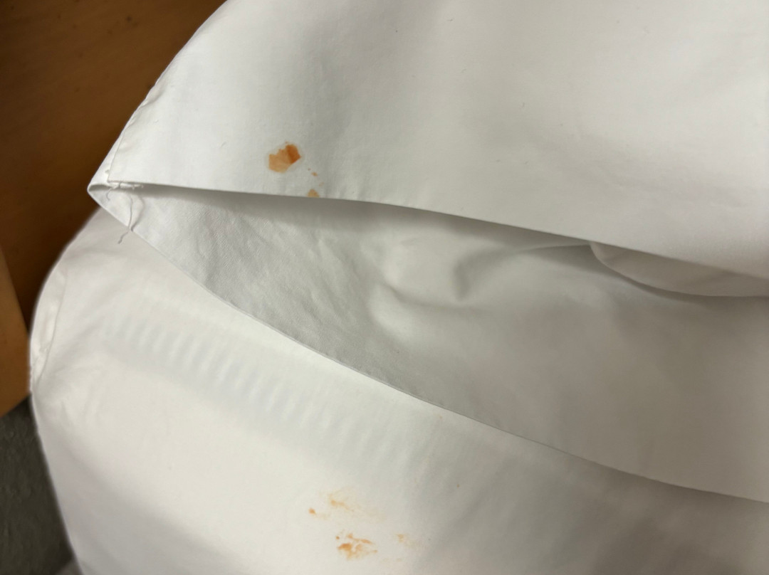 Hampton Inn & Suites By Hilton Jacksonville Deerwood Park主图