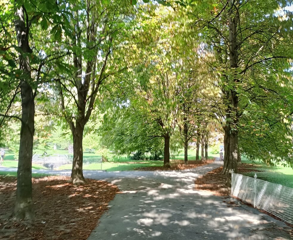 Maribor City Park-马里博尔必去景点