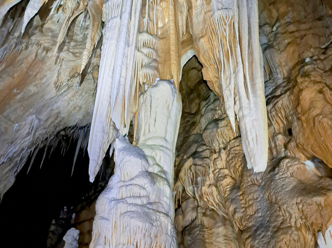 Grotta del Cervo景点图片