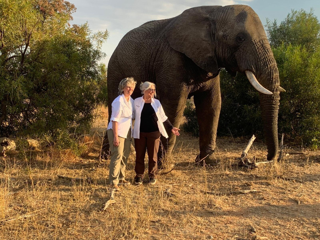 Adventures with Elephants-贝拉贝拉必去景点
