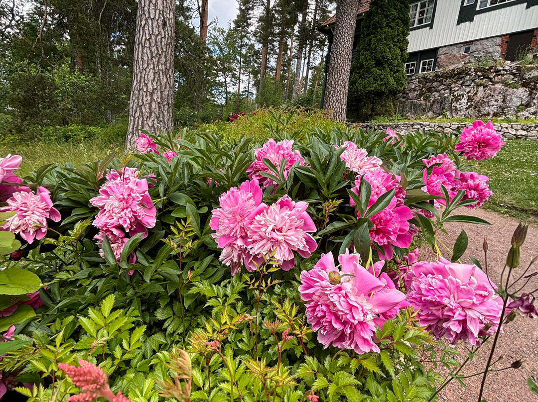 Ainola - The Home of Aino and Jean Sibelius-Jarvenpaa必去景点