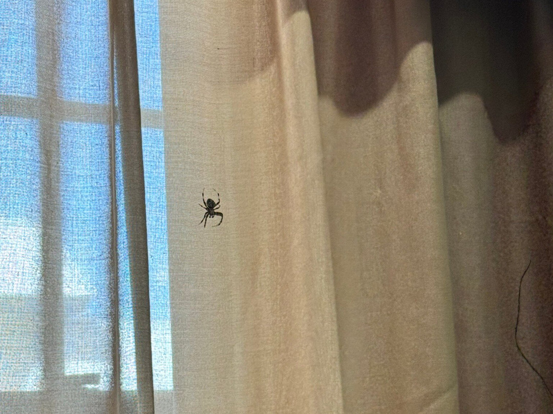 Baymont by Wyndham El Dorado主图