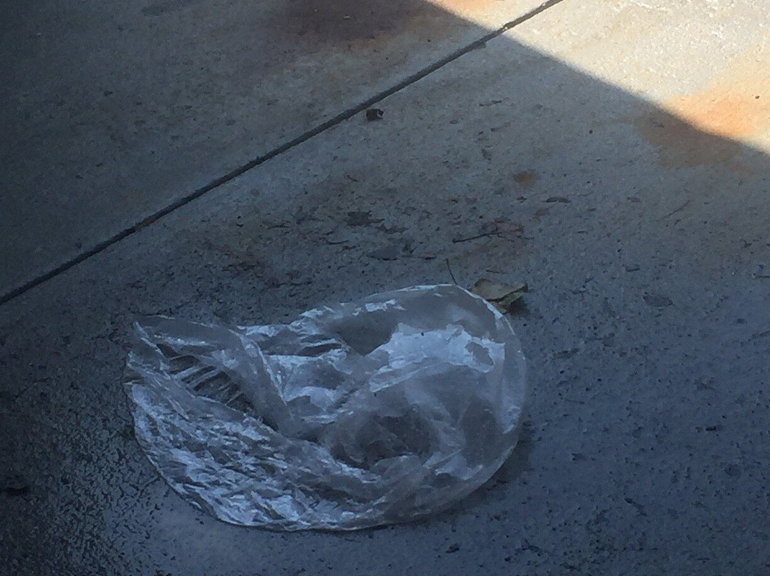 Best Western Dickson主图