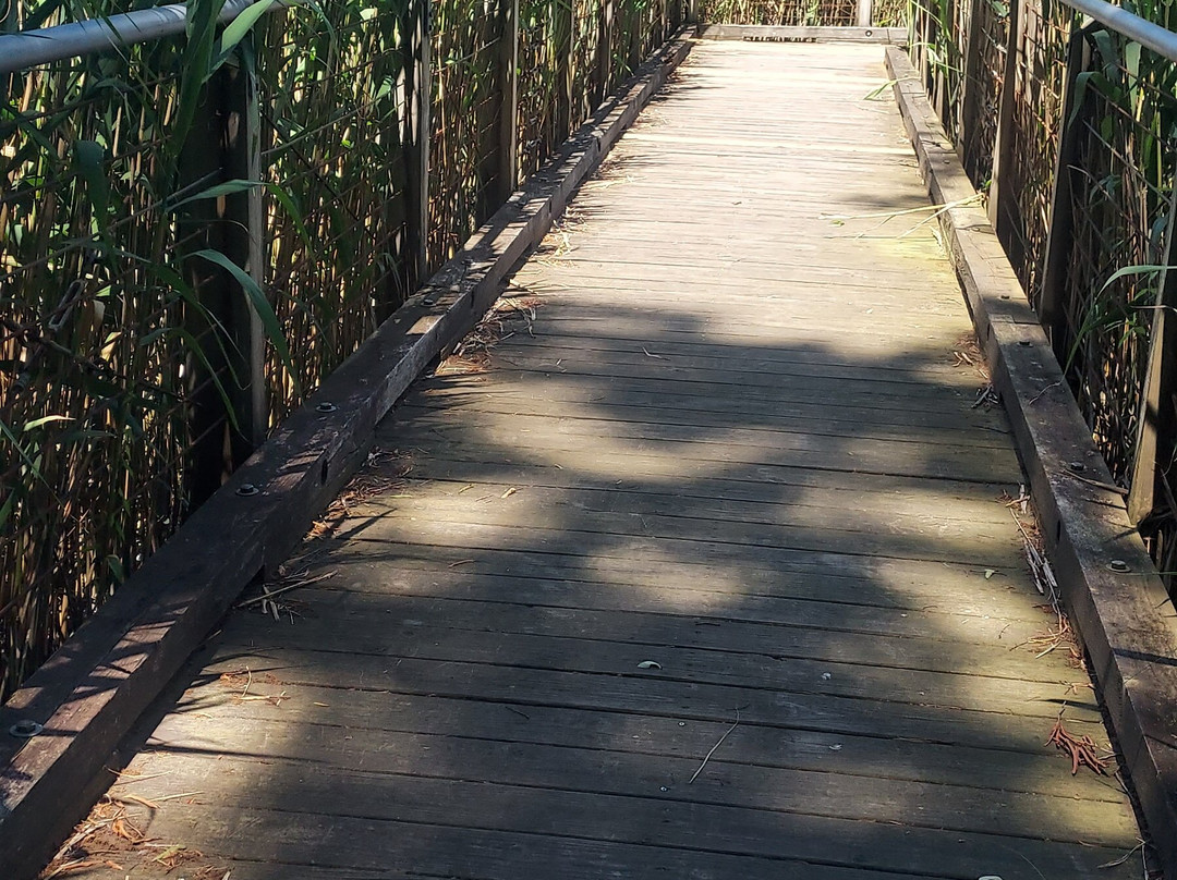 Marshy Point Nature Center景点图片