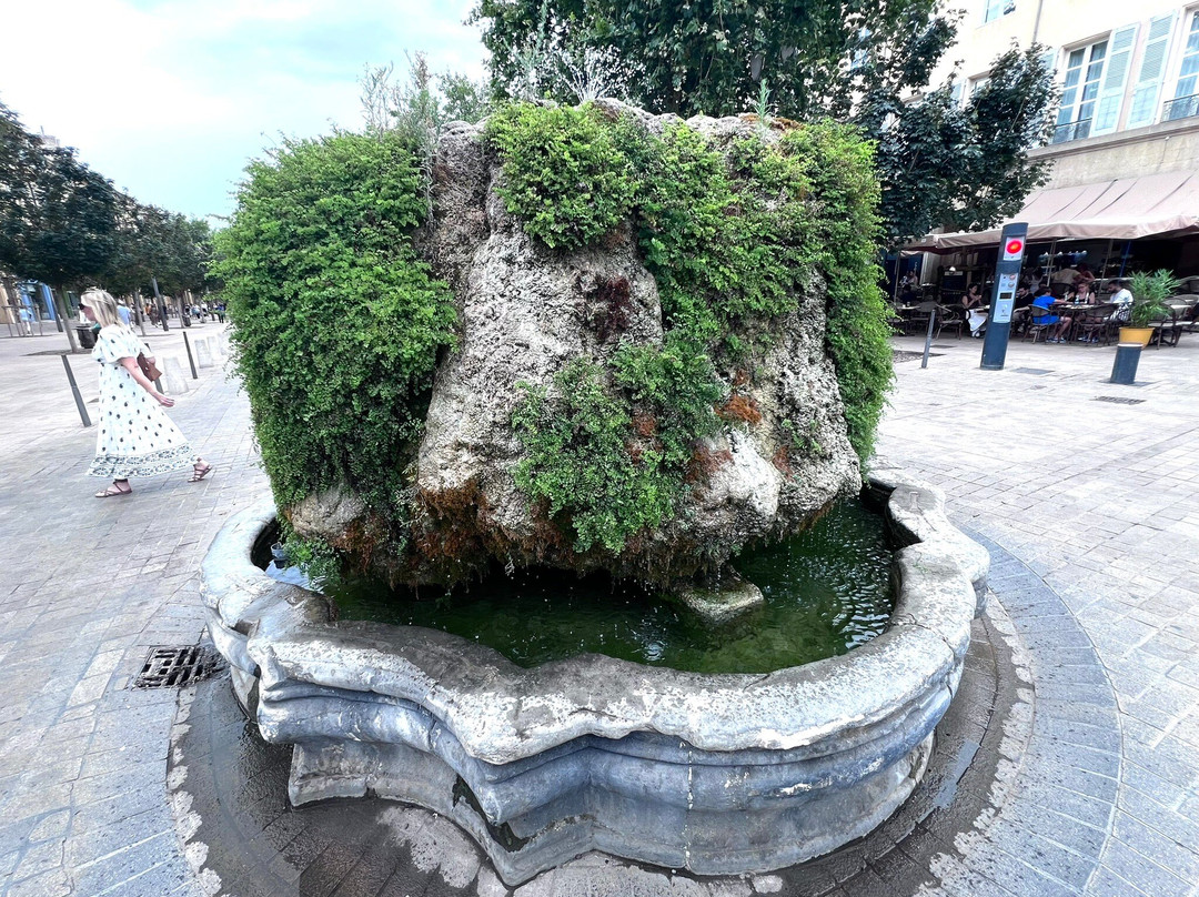 长满青苔的喷泉景点图片