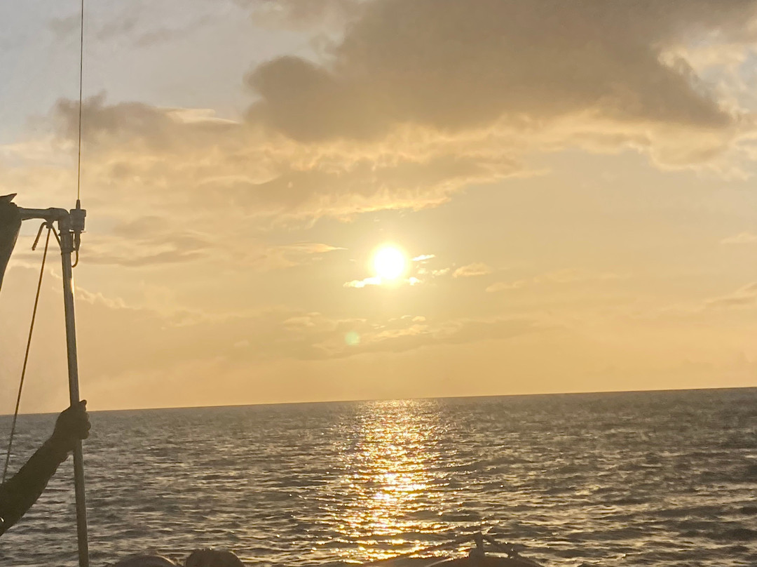 Corsair Sailing Charters & Experiences Grenada-Grand Anse必去景点