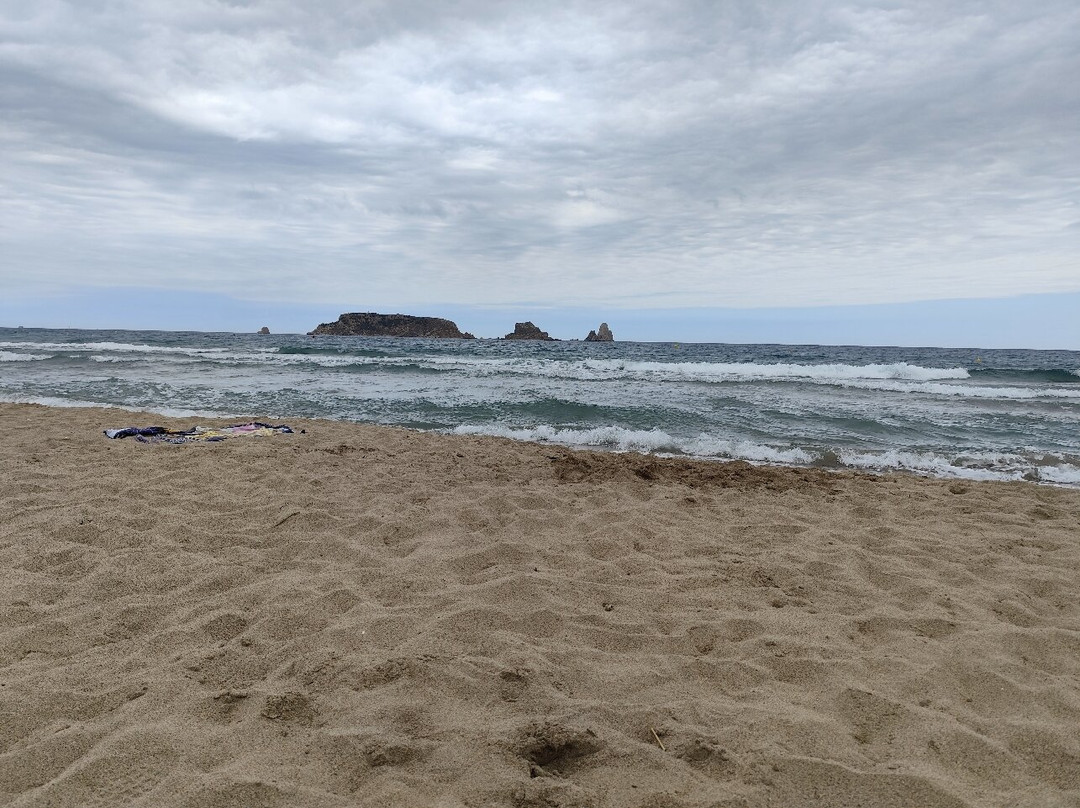 Platja de l'Estartit景点图片