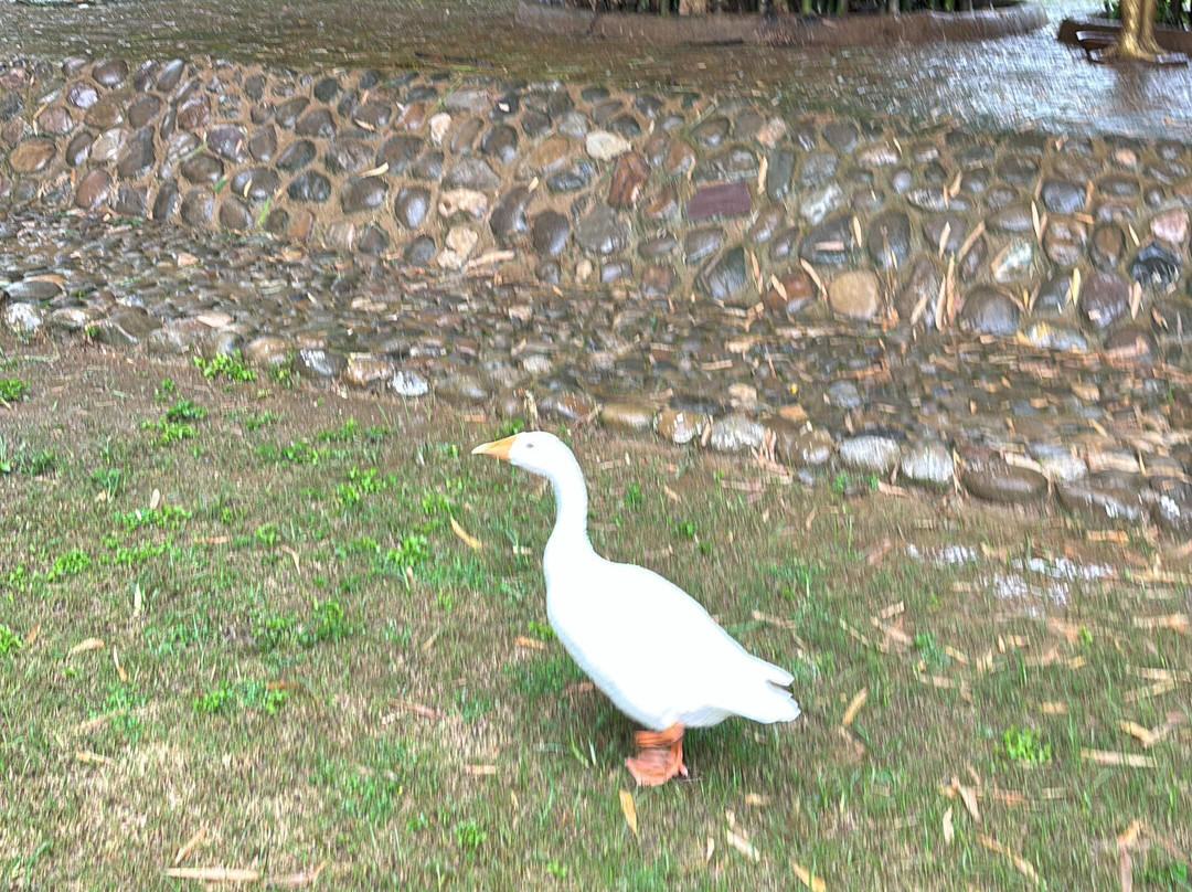 Lohagarh Corbett Resort主图