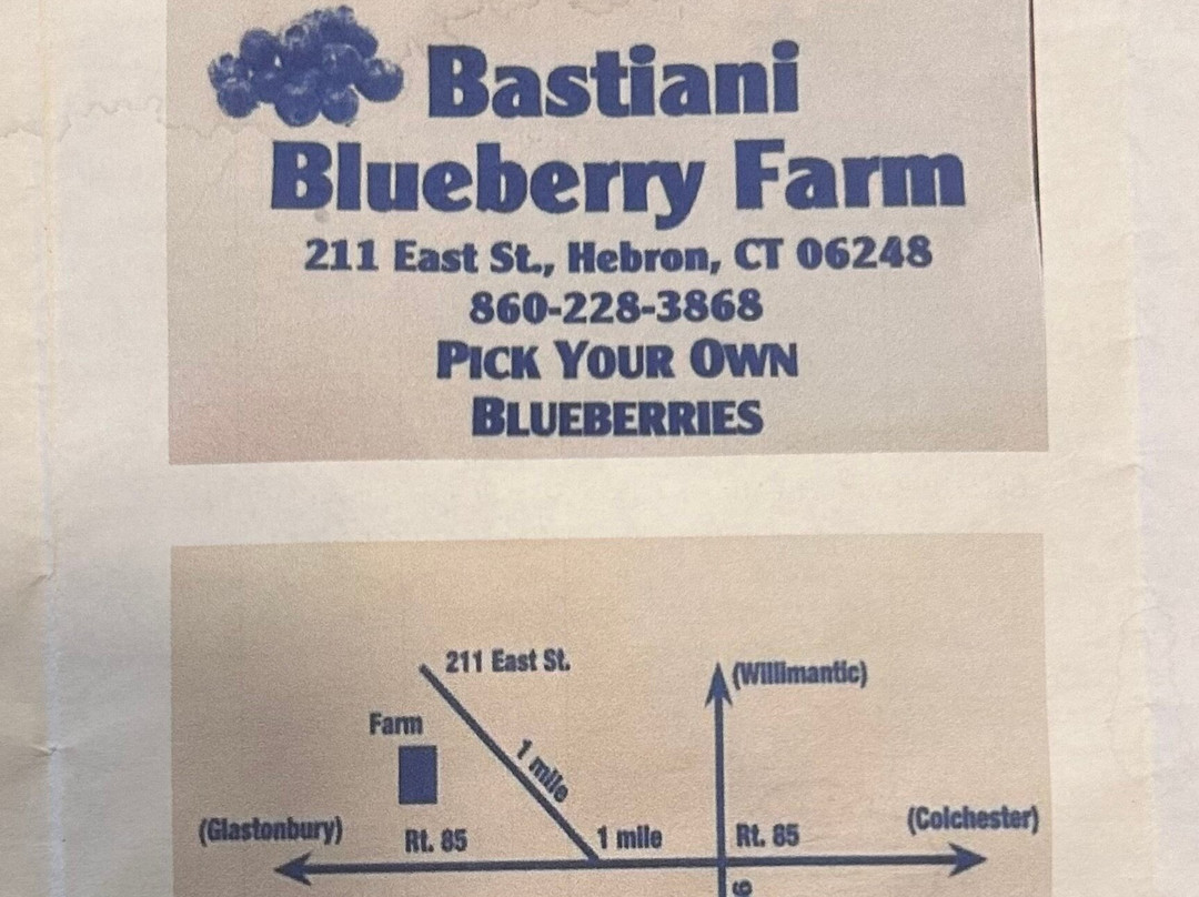 Bastiani's Blueberry Farm-Hebron必去景点