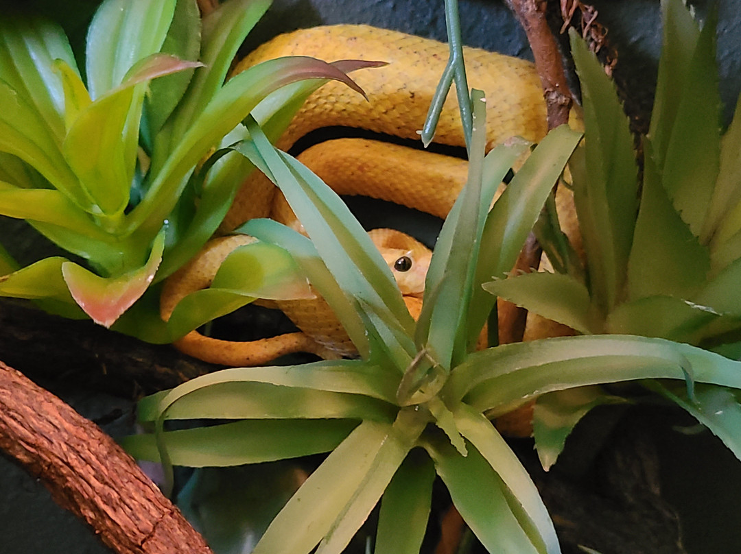 The Serpent Center-Vance必去景点