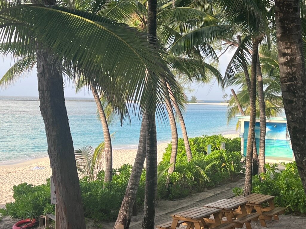 Sivananda Ashram Yoga Retreat Bahamas-泳池