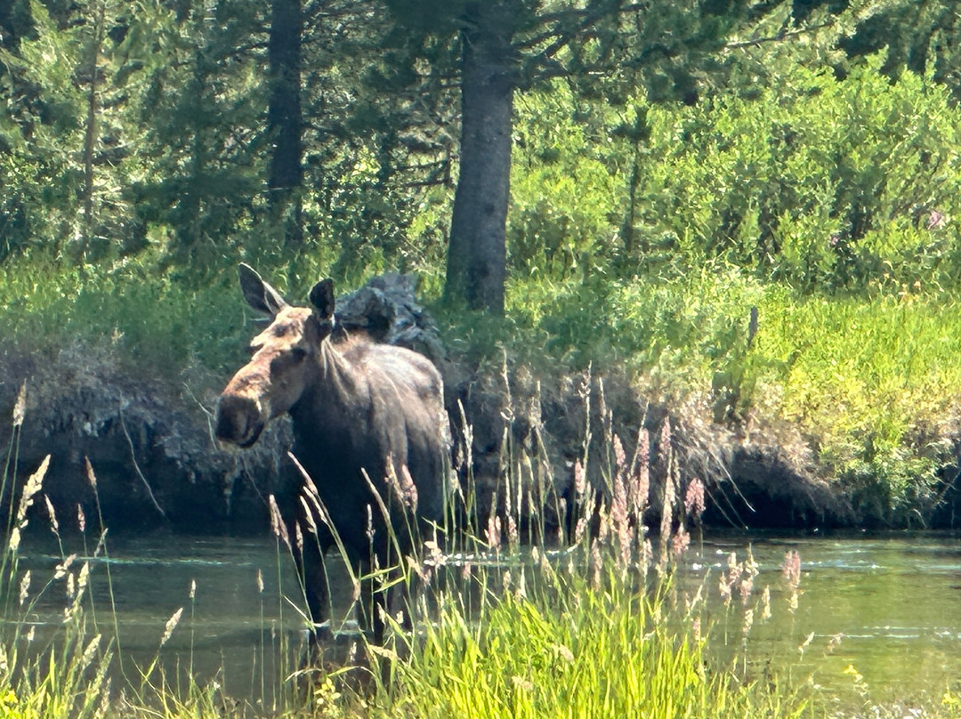 Mack`s Inn Float Trip and Rentals-艾兰帕克必去景点