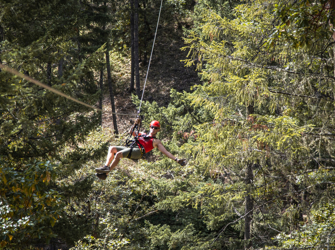 Rogue Valley Zipline Adventures-Central Point必去景点