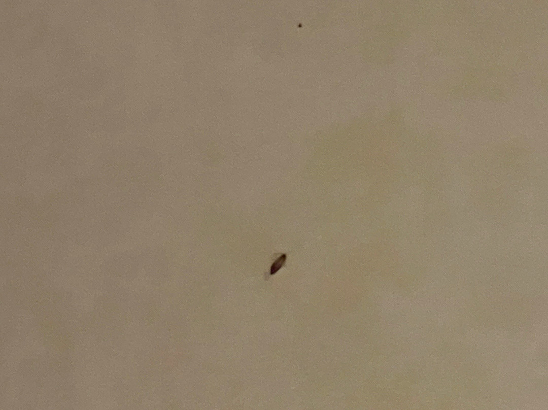 克罗太阳度假酒店主图