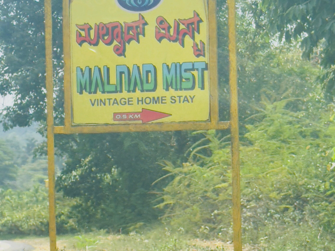 Malnad Mist Vintage Homestay主图