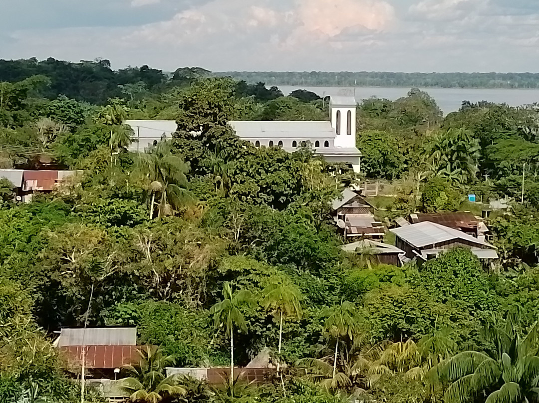 Torre Mirador De Puerto Nariño景点图片
