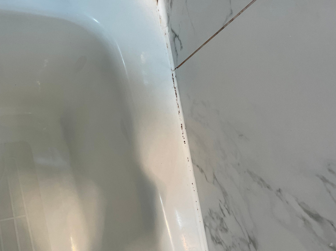 Surf Motel and Gardens主图