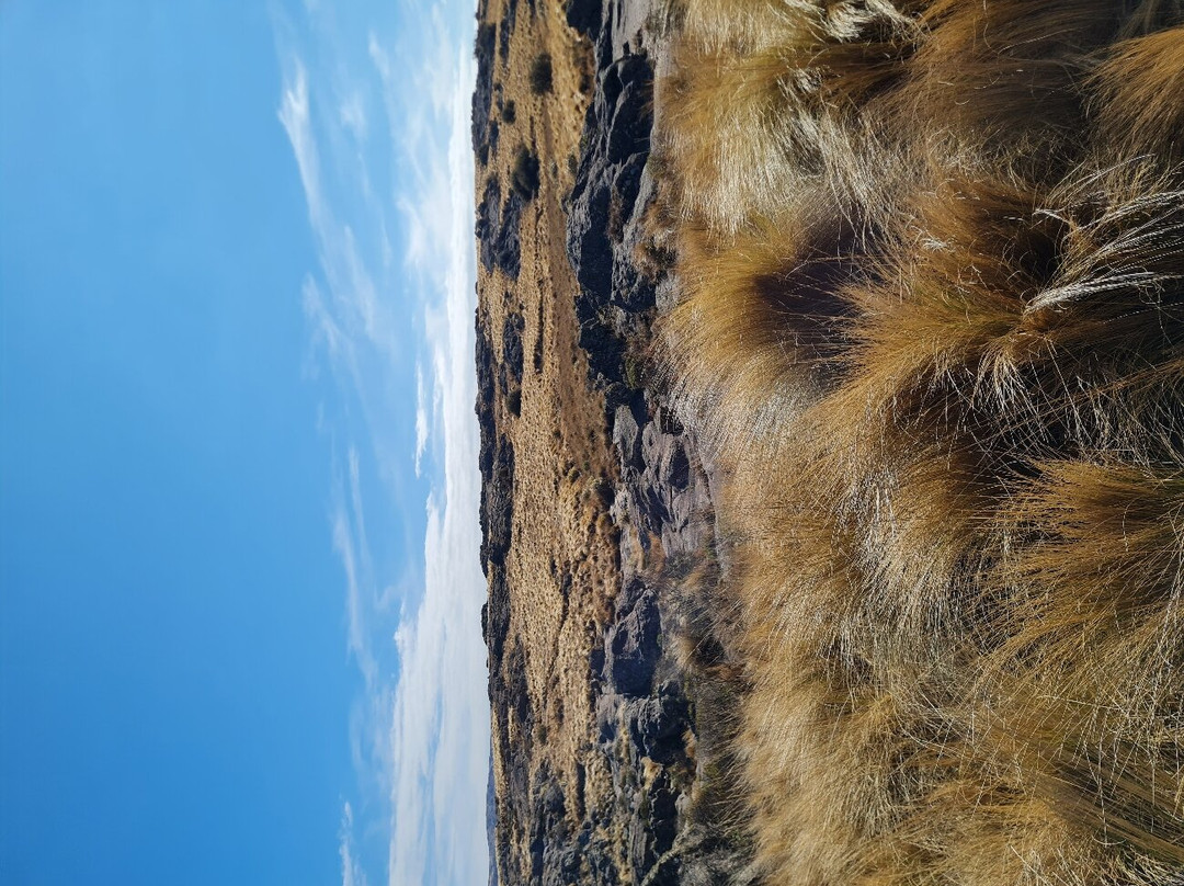 Parque Nacional Quebrada del Condorito-Villa Carlos Paz必去景点