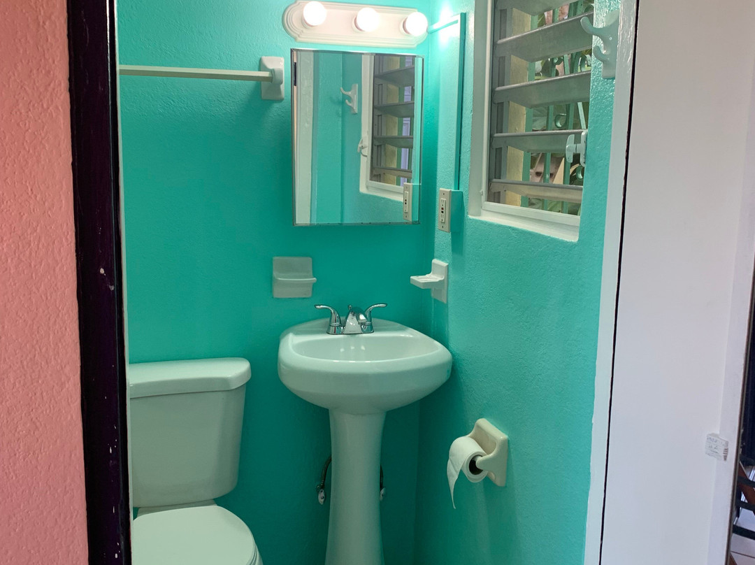 Miller Manor Guest House主图