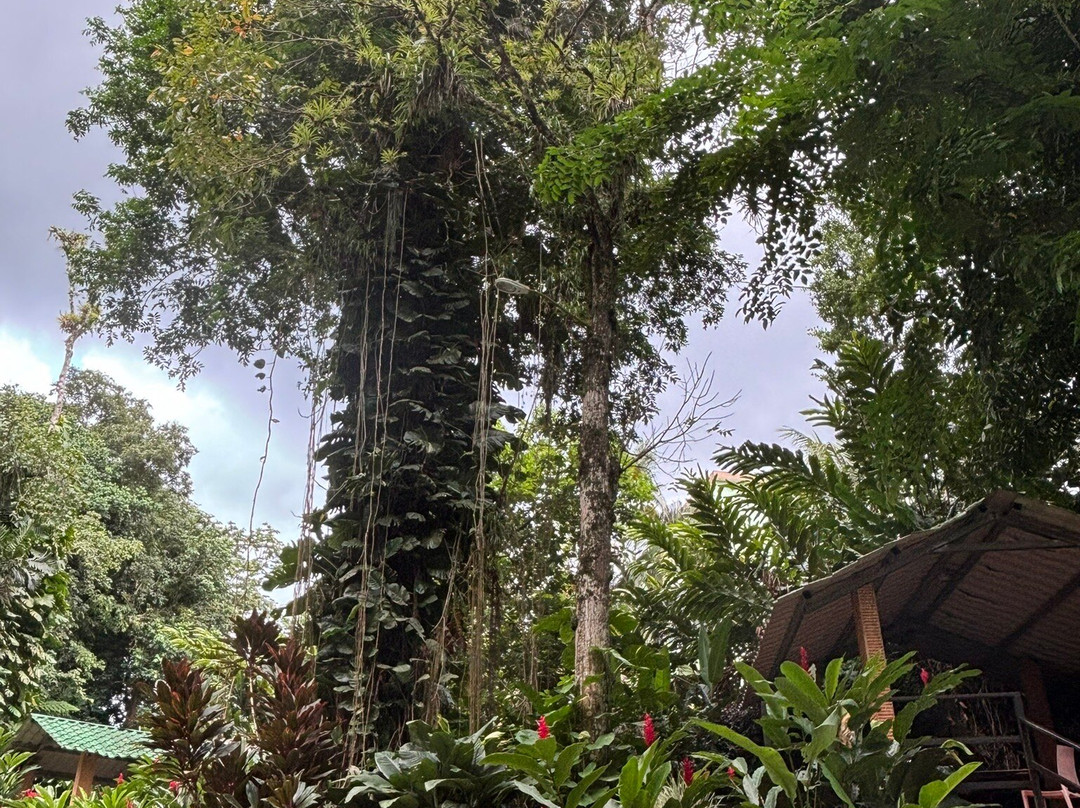 Hacienda Negron主图