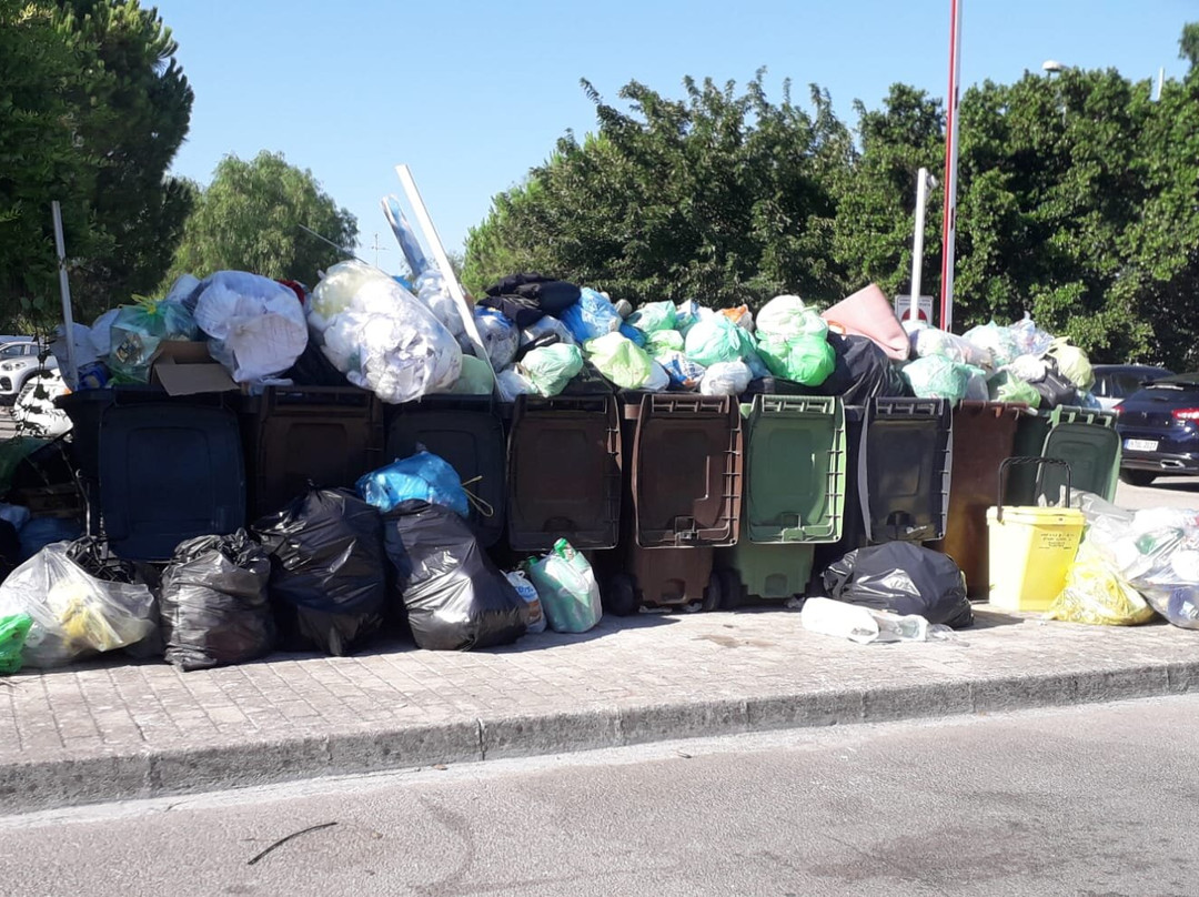 I Giardini di Atena主图