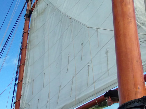 Au Gré Des Vents - Sorties En Mer Sur Vieux Gréements-费康必去景点