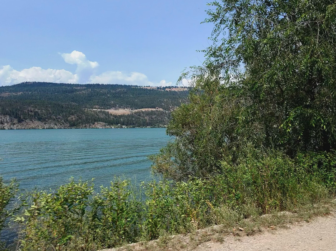 Kalavida Surf Shop-弗农必去景点