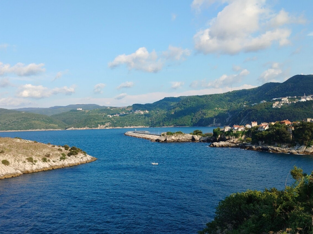 Amasra Castle景点图片