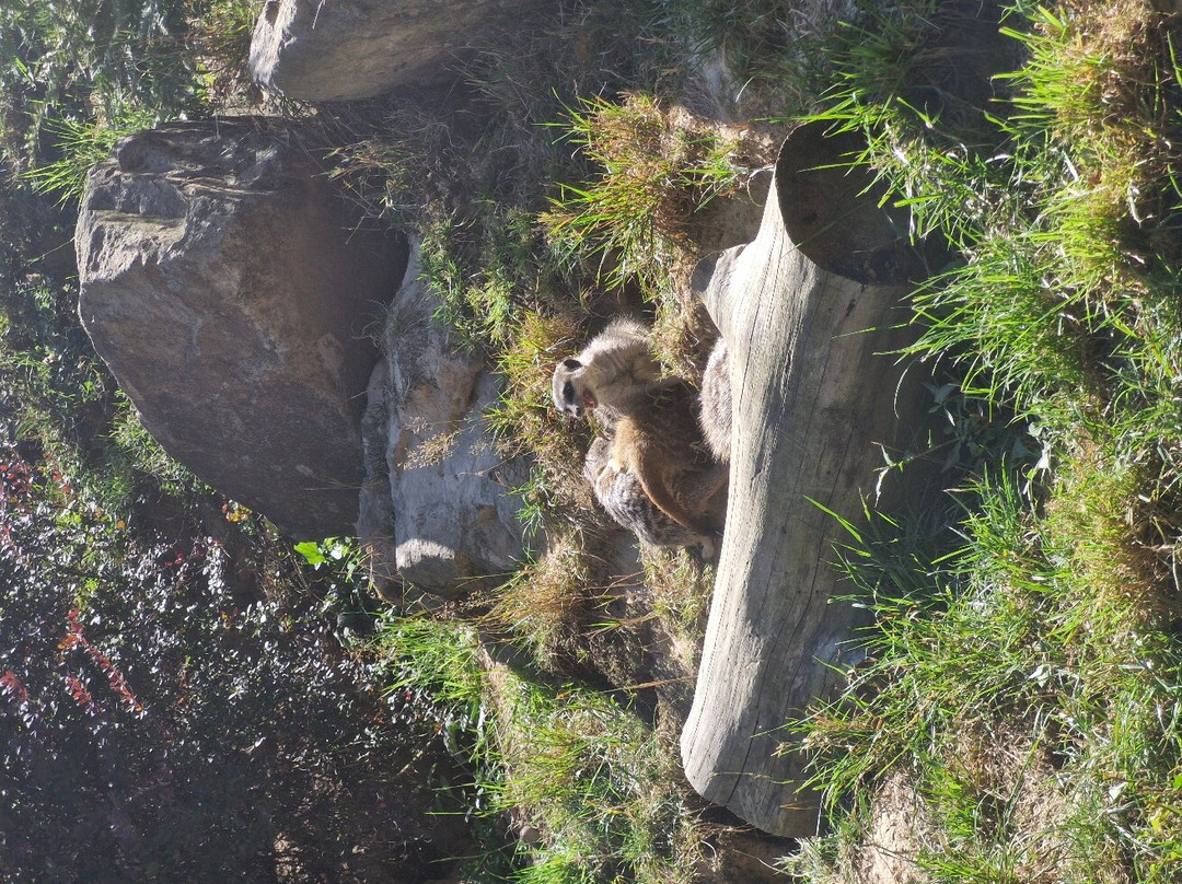 ZOO and Castle Zlin - Lesna-兹林必去景点