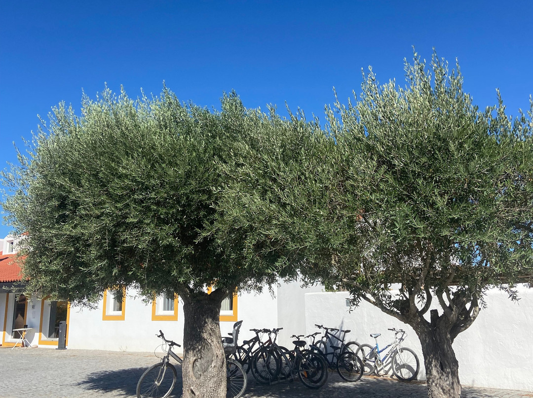 Herdade do Barrocal de Baixo主图