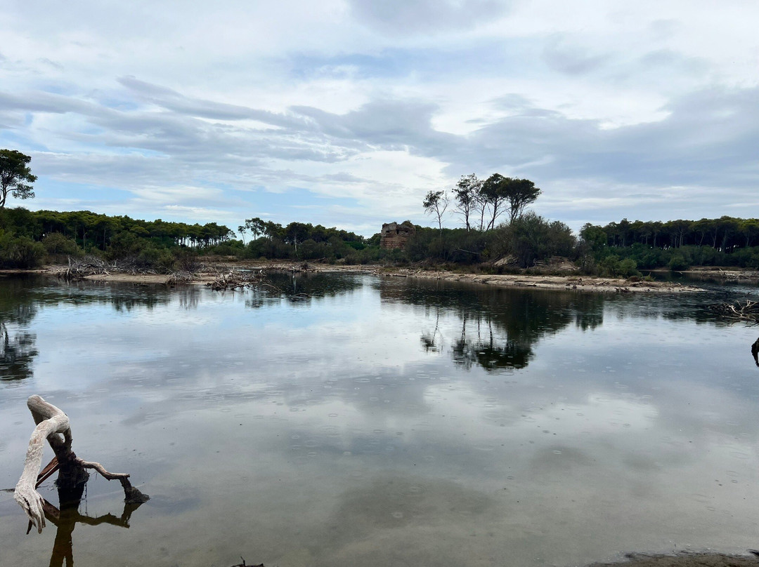 Lago Salinella景点图片