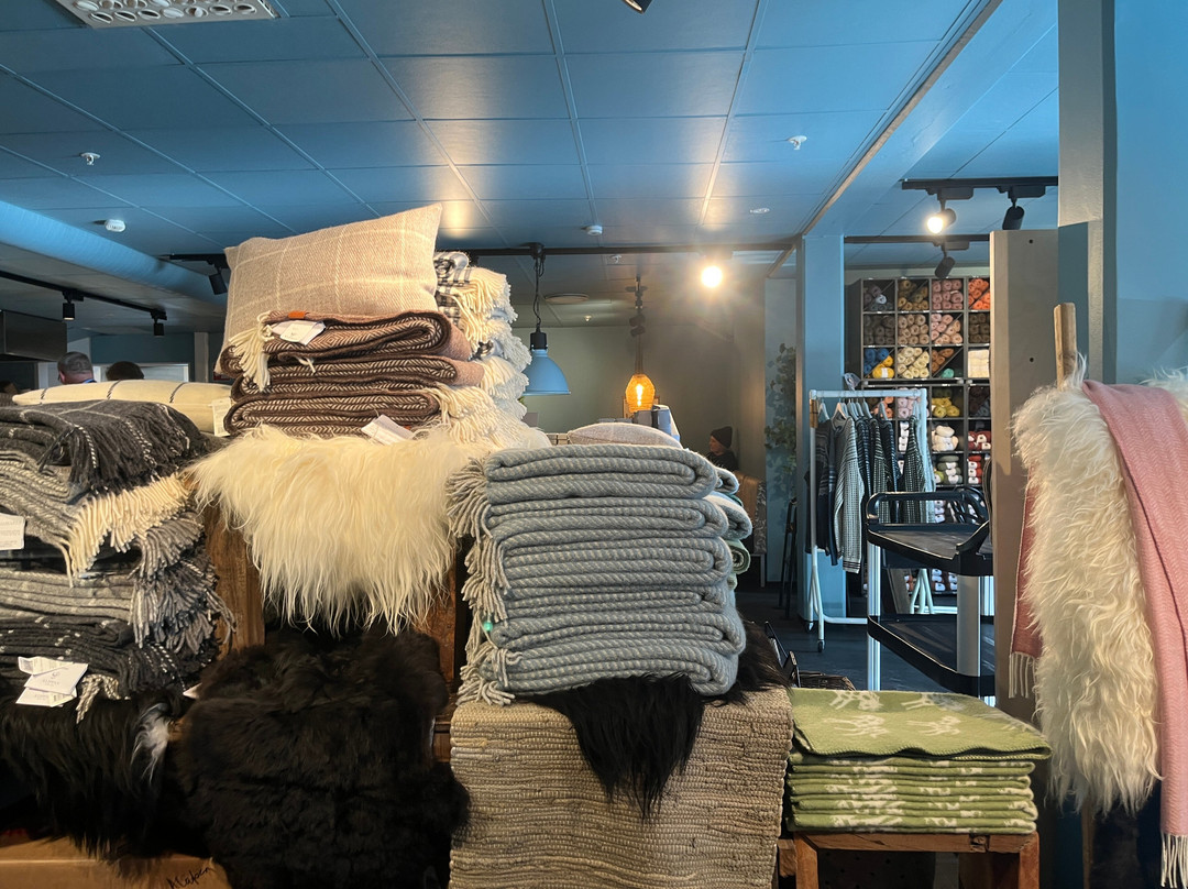Visit Svalbard-朗伊尔城必去景点