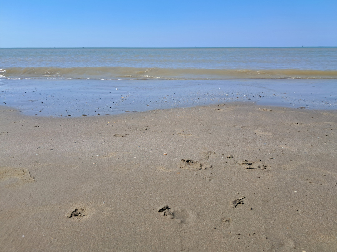 Strand Zeebrugge-泽布鲁日必去景点
