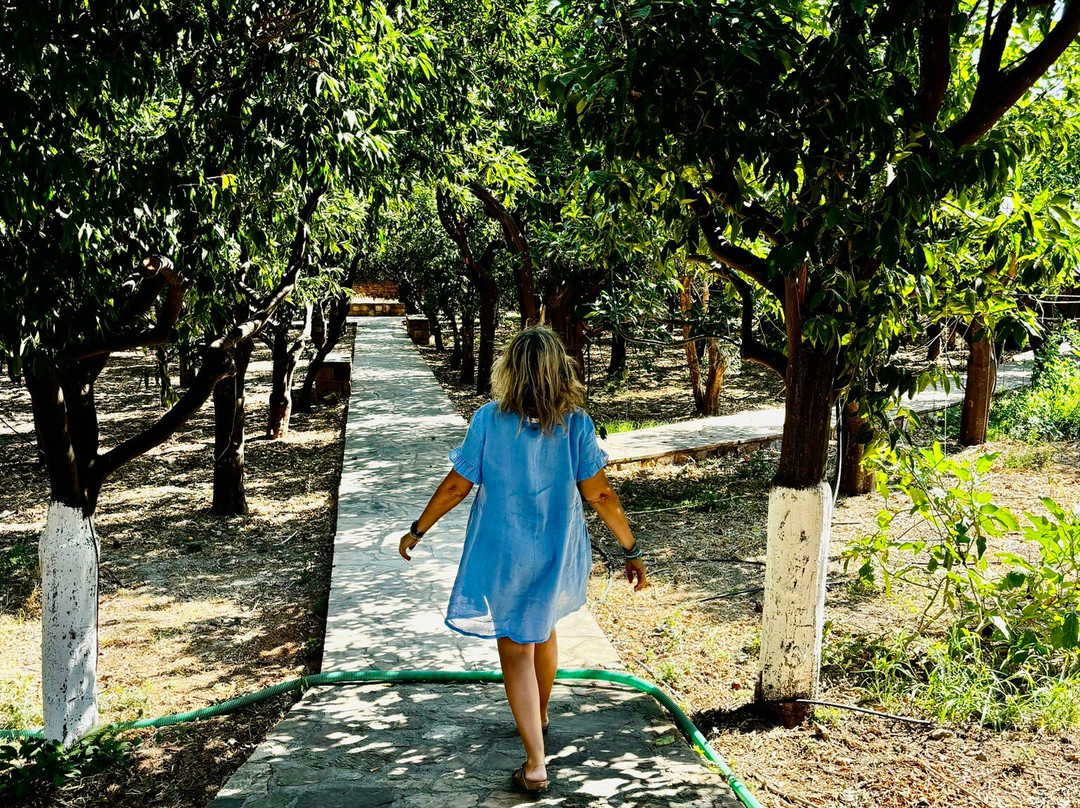 Archontiko Riziko主图