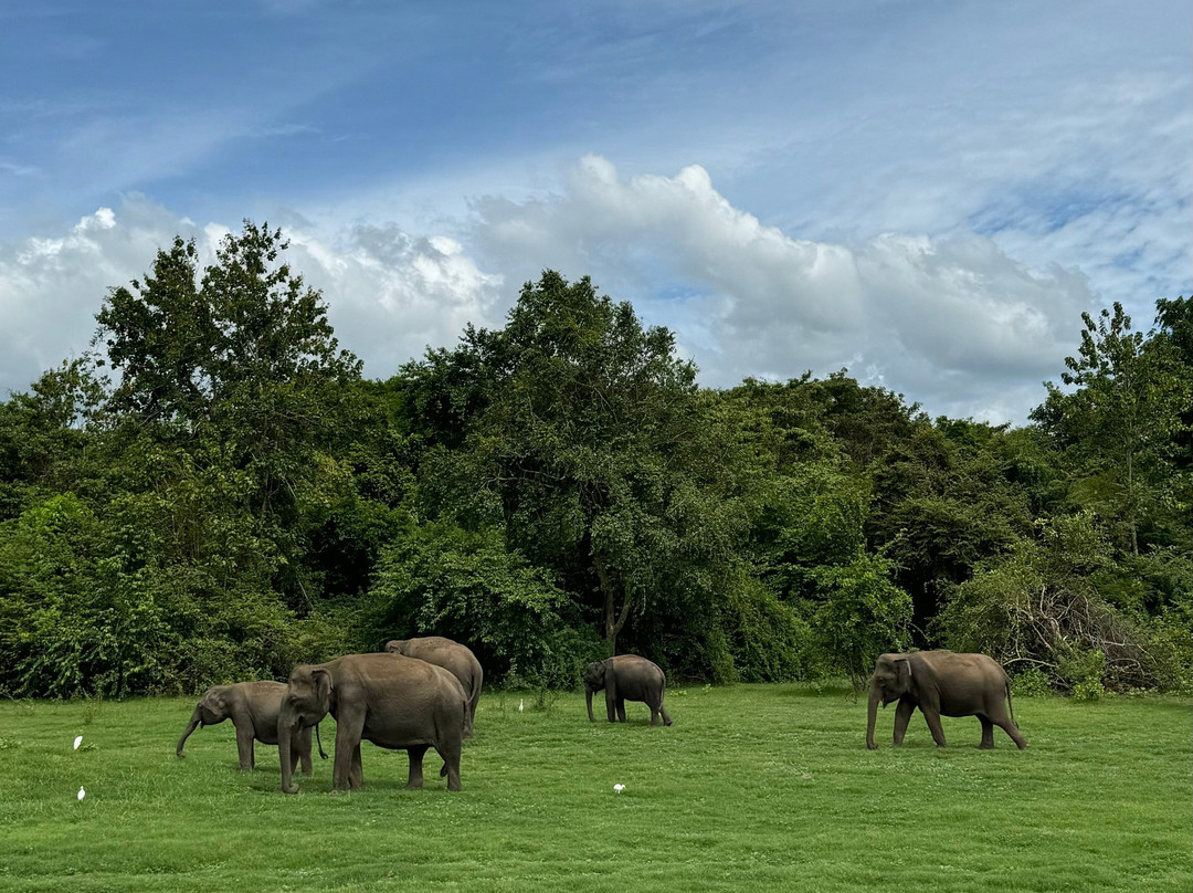 Smart Taxi & Tours Pasikudah-卡尔库达必去景点